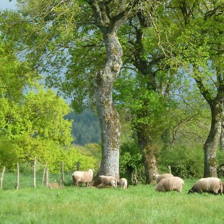 Maison De Campagne Ideale Pour Familles, Cavaliers, Animaux Acceptes, Avec Jardin Clos Et Tout Equipe. - Fr-1-489-172 Villa Barrais-Bussolles Luaran gambar